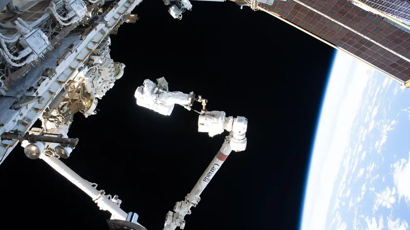 NASA 12,5 Milyon Domates Tohumu Uzay'a Gönderdi Altı Yıl Sonra Nereye Gitti?