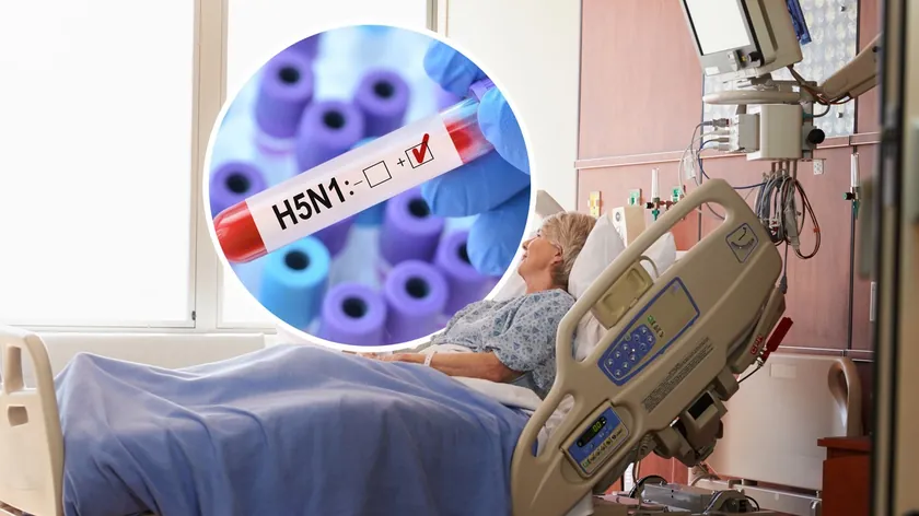 Avustralya yetkilileri H5N1 kuş gribi yayılma riski konusunda uyarıda bulundu.