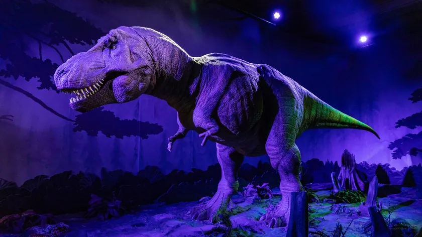 Dinozorların Küçük Kolları ve Büyük Kafataslarının Sırrı Yeni Çalışmada Açıklandı