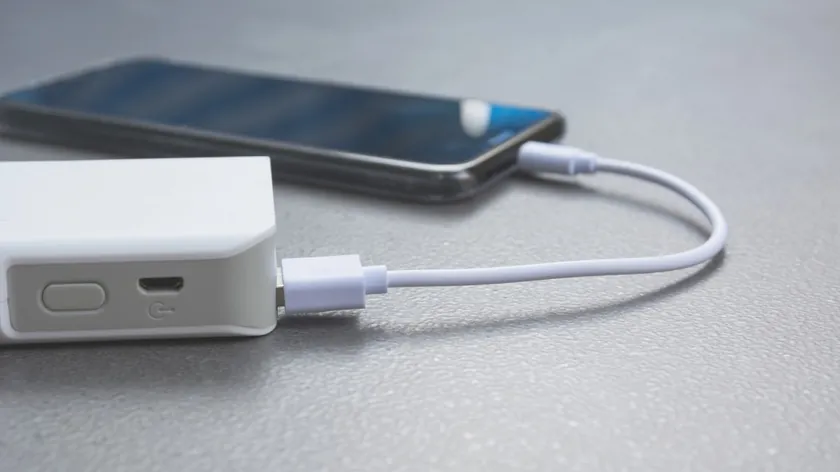 Sırbistan'da Akıllı Telefon Kullanıcıları İçin Taşınabilir Şarj Cihazı Seçim Rehberi