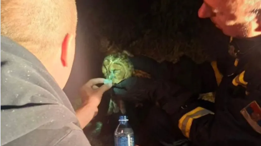 Sırbistan'da Deliblatska peščara'da çıkan yangından kurtarılan bir baykuşun fotoğrafı sosyal medyada büyük yankı uyandırdı.