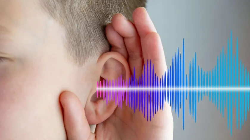 ABD Kalıtsal Sağırlık İçin İlk Gen Terapisi Otarmeni'yi Onayladı Bilim Dünyası Sevinçli