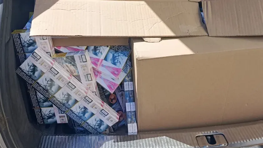 Sırbistan'da kaçak sigara operasyonu: Genç şahıs yakalandı, ülke bütçesi büyük zarar gördü