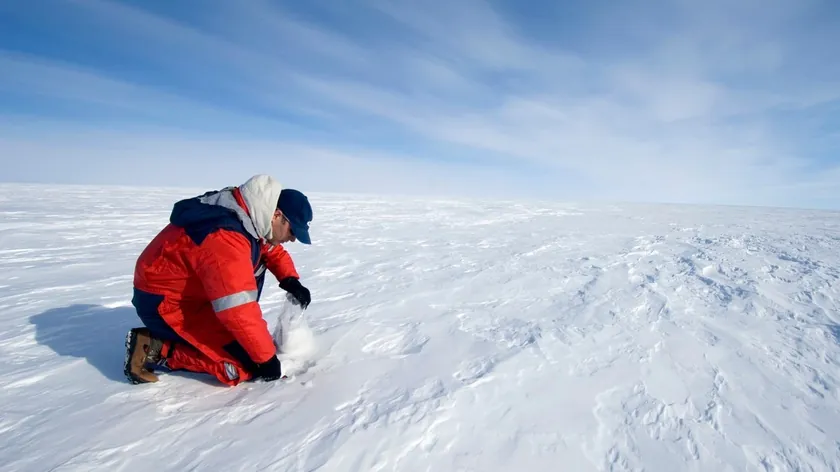 Antarktika'da Milyonlarca Yıl Önce Yaşamış Deniz Canlısına Ait Olağanüstü Fosilleşmiş Yumurta Keşfedildi