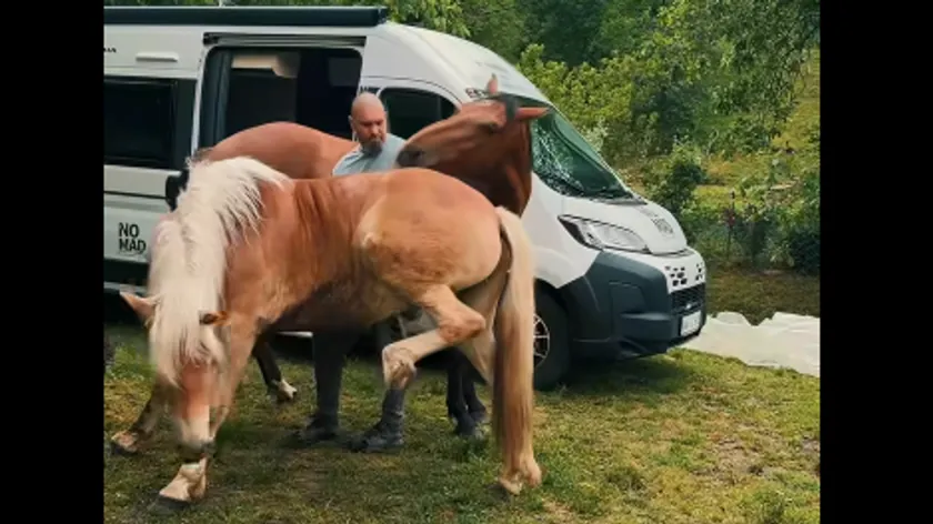 Sırp çift Nikola Borić ve Zorana, 100 gün önce evlerini ve topraklarını sattılar ve tamamen yeni bir hayata başladılar.