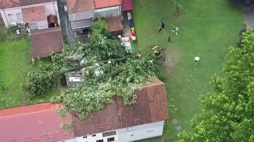 Sırbistan'da şiddetli hava koşulları yaşanıyor Rüzgar ağaçları yıktı, sokaklar sel oldu.
