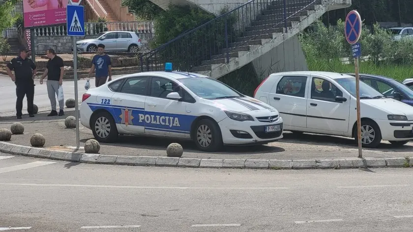Ulcinj'de bir köpeği ezdiği iddia edilen Kuzey Makedonya vatandaşı tutuklandı.