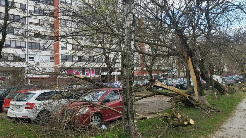 Hırvatistan'da Şiddetli Fırtına Sonrası İtfaiye Ekipleri Yüzlerce Müdahale Gerçekleştirdi