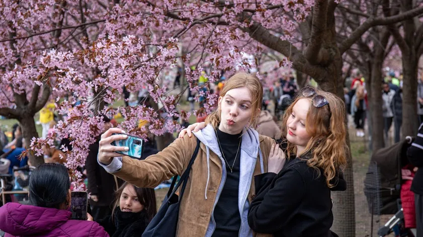Finlandiya Halkının Mutluluğunun Sırrı Açıklandı Üç Şeyden Uzak Duruyorlar