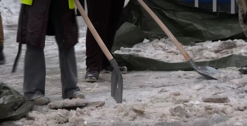Öğrenciler Novi Sad'da kar temizleme etkinliği düzenliyor