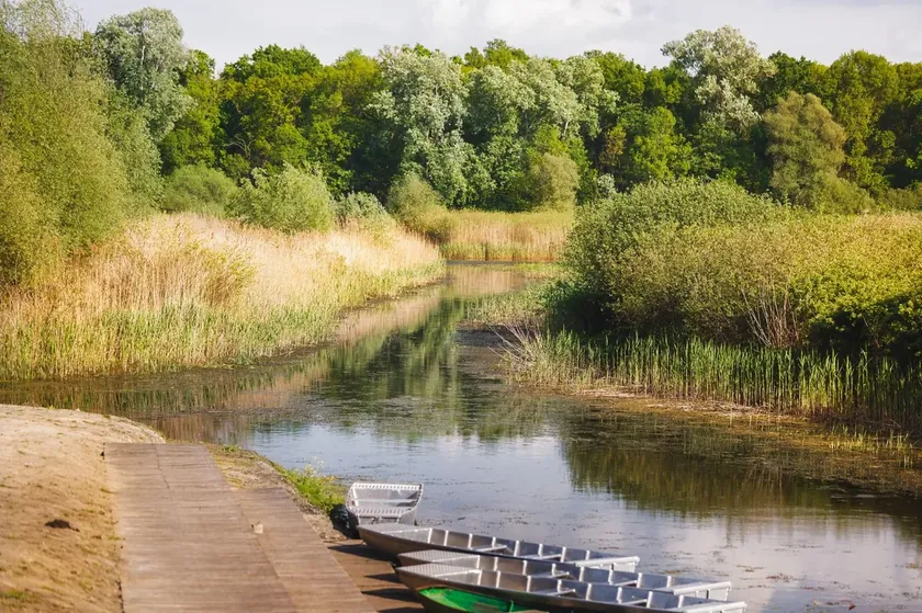 Sırbistan'da 2800 Yıllık Toplu Mezarda 77 Kadın ve Çocuğun Şiddetle Öldürüldüğü Ortaya Çıktı