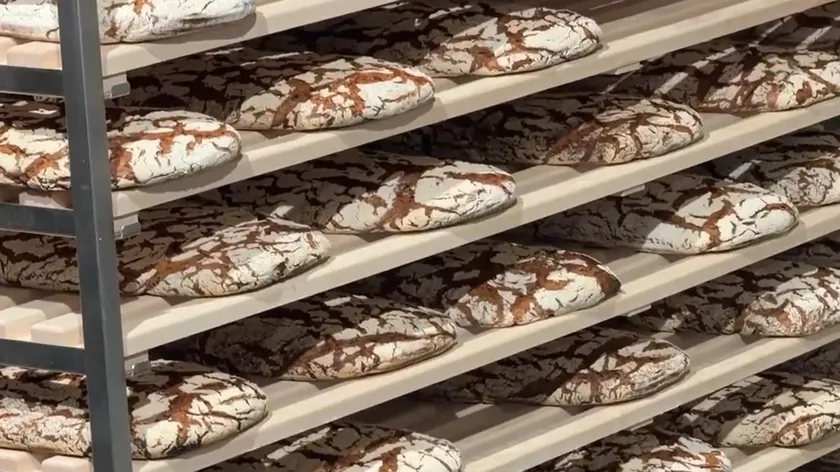 60 dolarlık bir ekmek için ne kadar ödersiniz?