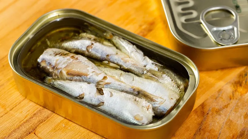 Sardine, hem besleyici açıdan hem de fiyat olarak avantajlı bir seçenektir.