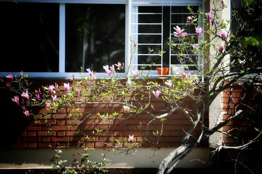 Sırbistan'da bazı bölgelere kar beklenirken bahar sıcaklıkları yükselişe geçiyor