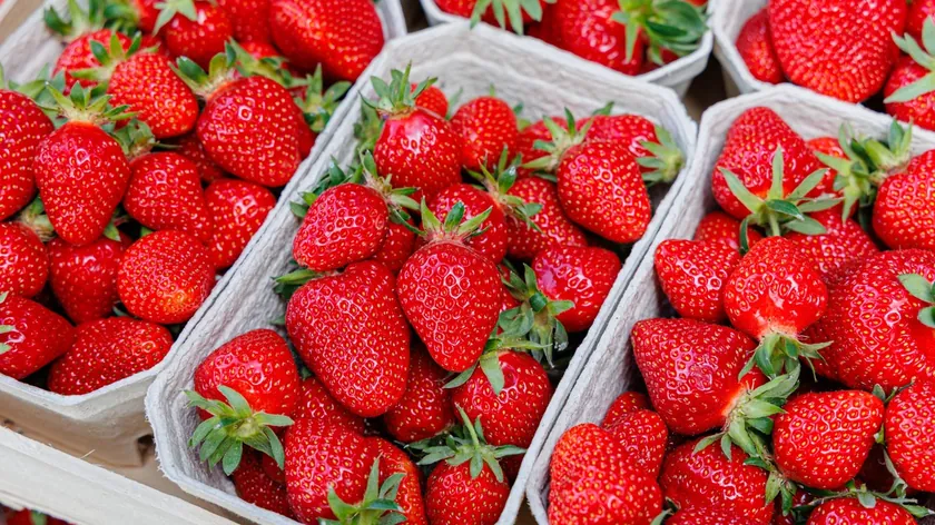 Çileğin Sağlığa Faydaları Vurgulandı: Antioksidan Deposu Kalp ve Beyin Sağlığını Destekliyor