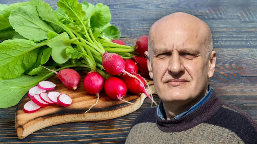 Turp Doğal Bir Şifa Kaynağıdır Ancak Herkes İçin Uygun Değildir