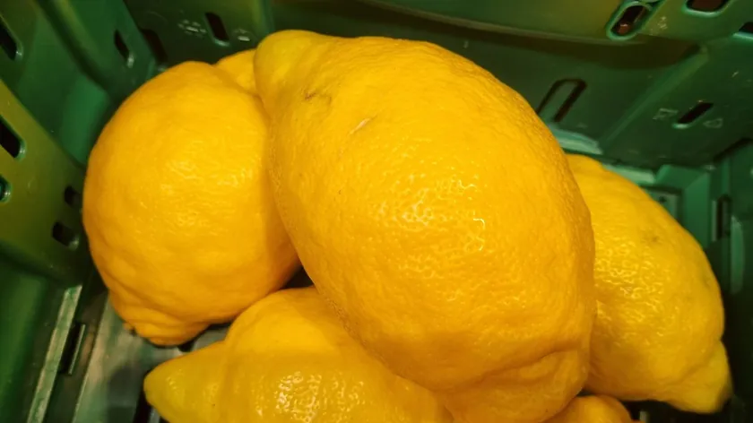 Sırbistan genelindeki marketlerde dev limonlar şaşkınlık yarattı, nedenleri açıklandı.