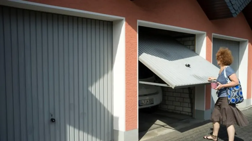 Hırvatistan'ın Zagreb Kentinde Garajında Yılanlarla Karşılaşan Kadın Büyük Korku Yaşadı