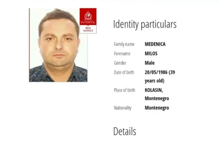 Sırbistan Cumhurbaşkanı Aleksandar Vučić'in eski bir arkadaşı olan Miloš Medenica, kaçtıktan sonra bir mesaj gönderdi.