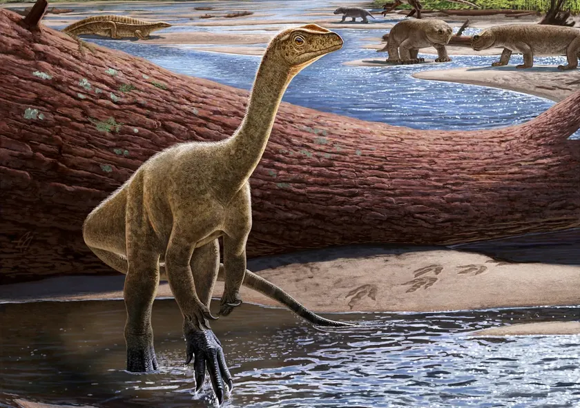 Zimbabve'de Yeni Bir Dinozor Türü Keşfedildi
