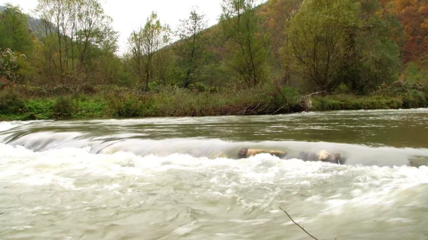 Sırbistan'ın Gradac Nehri Belgrad'a Yakın Eşsiz Bir Doğal Güzellik Kaynağı