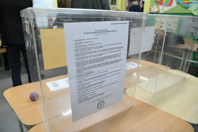 LSV Çift Vatandaşlığa Sahip Olmayanlar İçin Seçimlere Katılım Hakkı