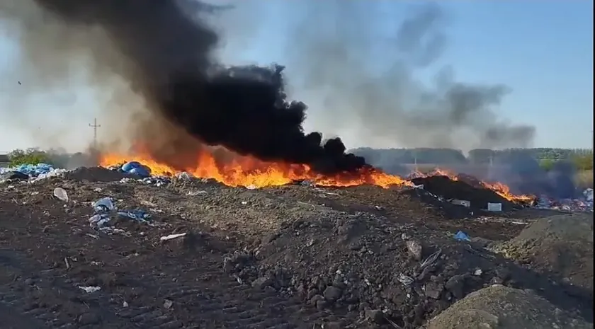Sırbistan'ın Sremska Mitrovica şehrinde bulunan bir depolama alanında büyük yangın çıktı.