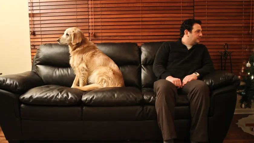 Uzmanlar Köpeklerin Duygusal Yapısı ve Sahiplerine Karşı Hislerini Belirtti