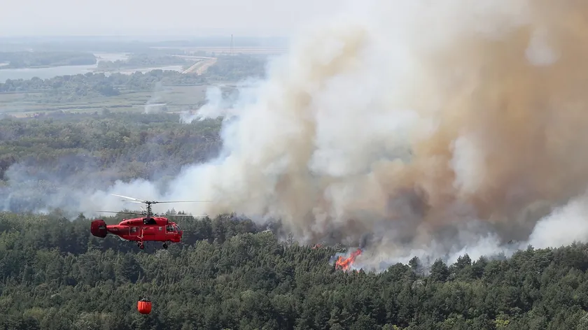 Deliblatska Peşçara'nın Yeniden Canlandırılması Hakkında Bilgiler