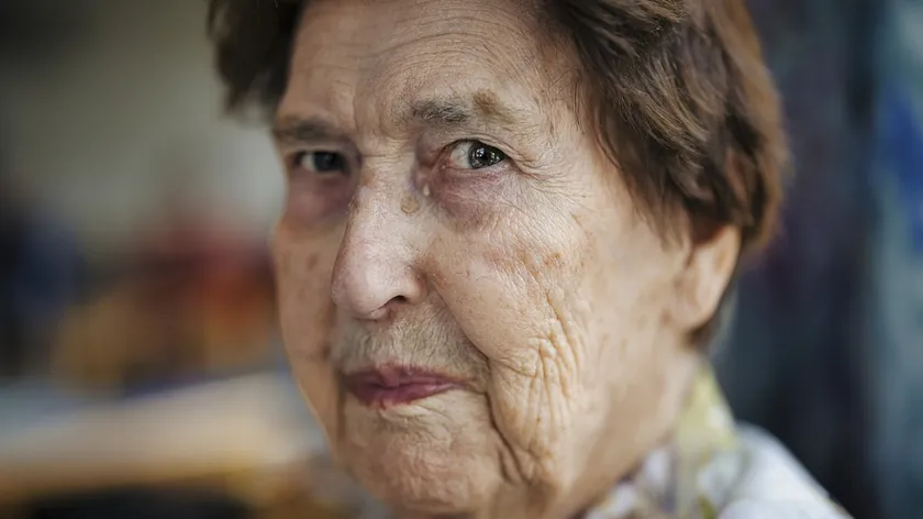 Sin Bogdan annesiniyi yaşlı evine yerleştirip arkasından da satmış, ardından bir dönüşüm meydana gelmiştir.