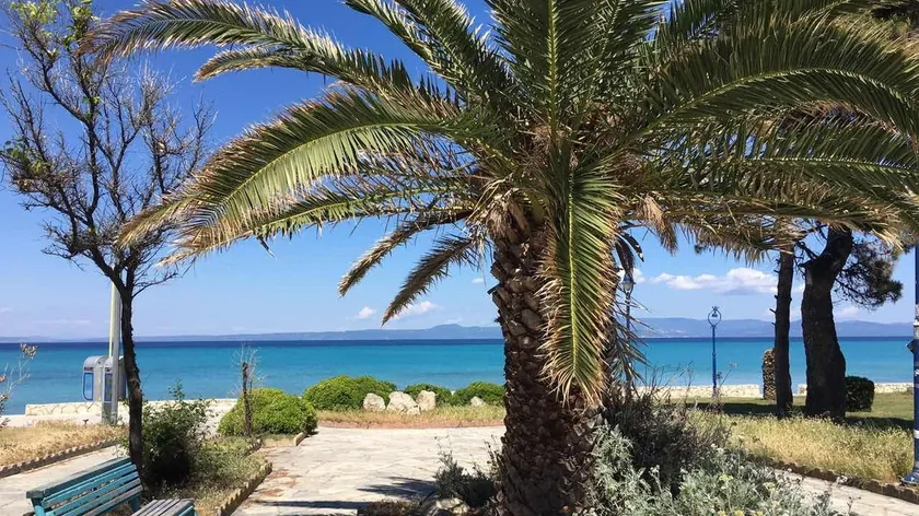 Yunanistan Halkidiki'deki otel gölünde insan kemikleri ve kafatası bulundu