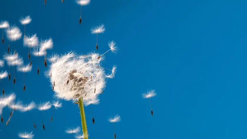 Sırbistan UniCredit Bankası, bahar ve yaz hayallerini gerçekleştirmek için nakit kredi fırsatı sunuyor