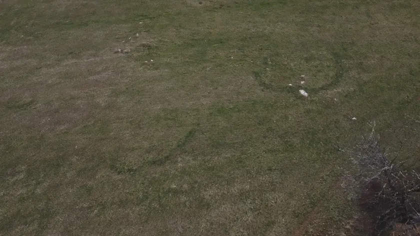 Sırbistan Kosjerić yakınındaki Suvo Vrelo köyünde her yıl görülen gizemli halkalar