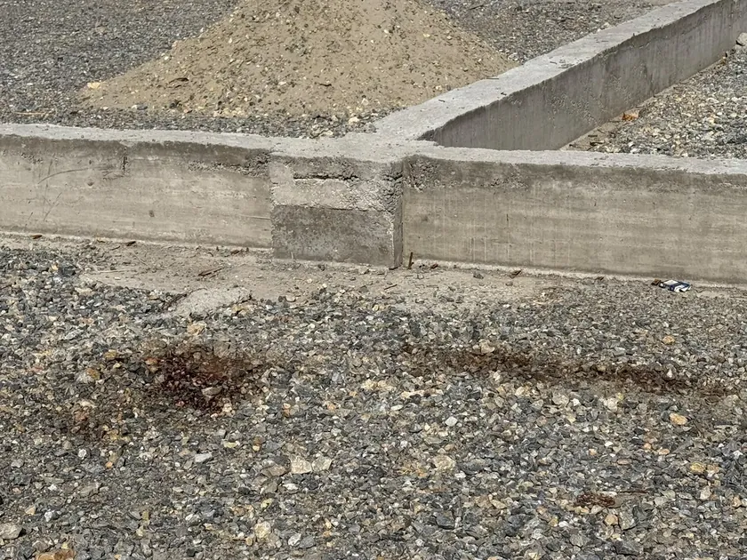Sırbistan'da Novi Pazovi'de yaşlı bir adamı öldüren şüpheli yakalandı.