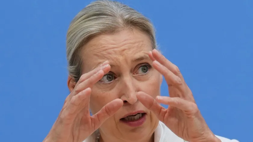 Alis Vajdel, AfD Partisi Lideri "Leviciler Zenginleri Vurmak İsteyecek"