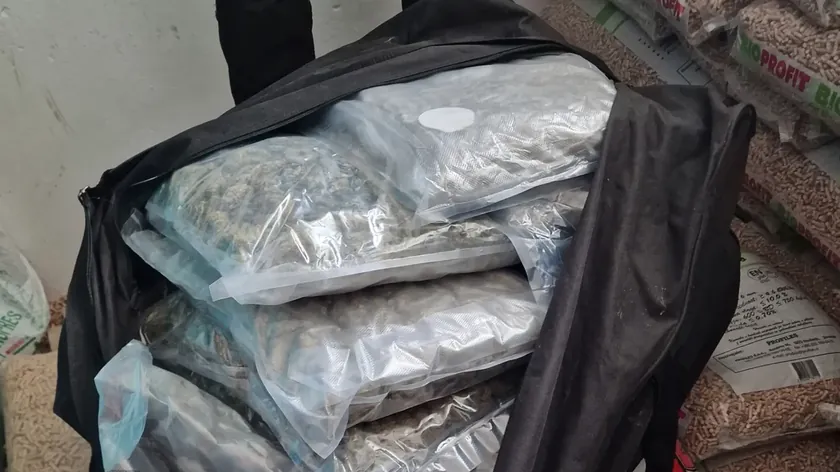 Batı Balkan suç ağına yönelik Avrupa çapında operasyonda 50 kişi tutuklandı