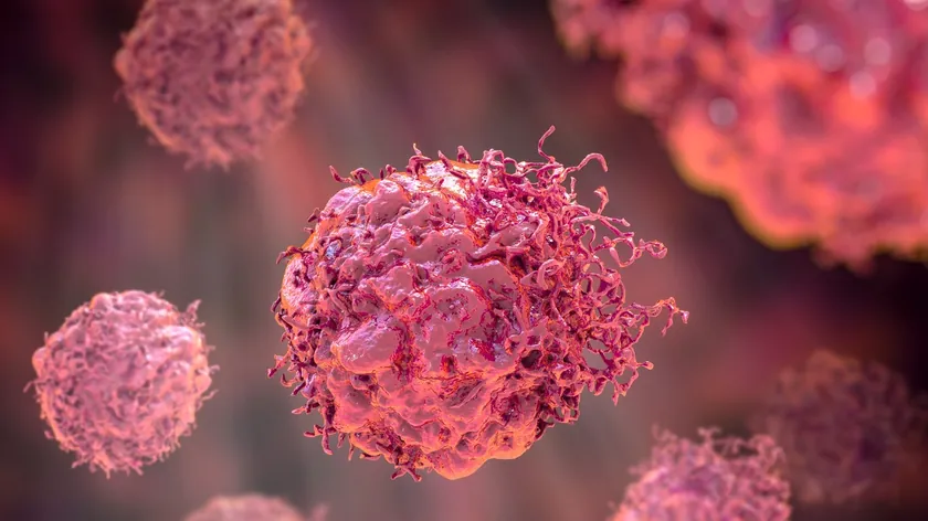 Çinli bilim insanları domuz spermi göz damlalarıyla farelerde retina tümörünü durdurdu, görme kurtarıldı