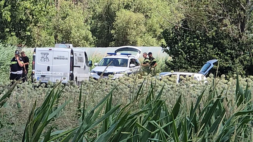Sırbistan'ın Novi Sad kentinde meydana gelen trafik kazasında iki kişi hayatını kaybetti.