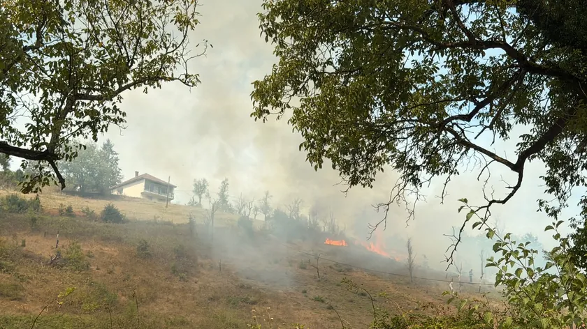 Foça'da büyük yangın Ateş evlere yakınlaştı.